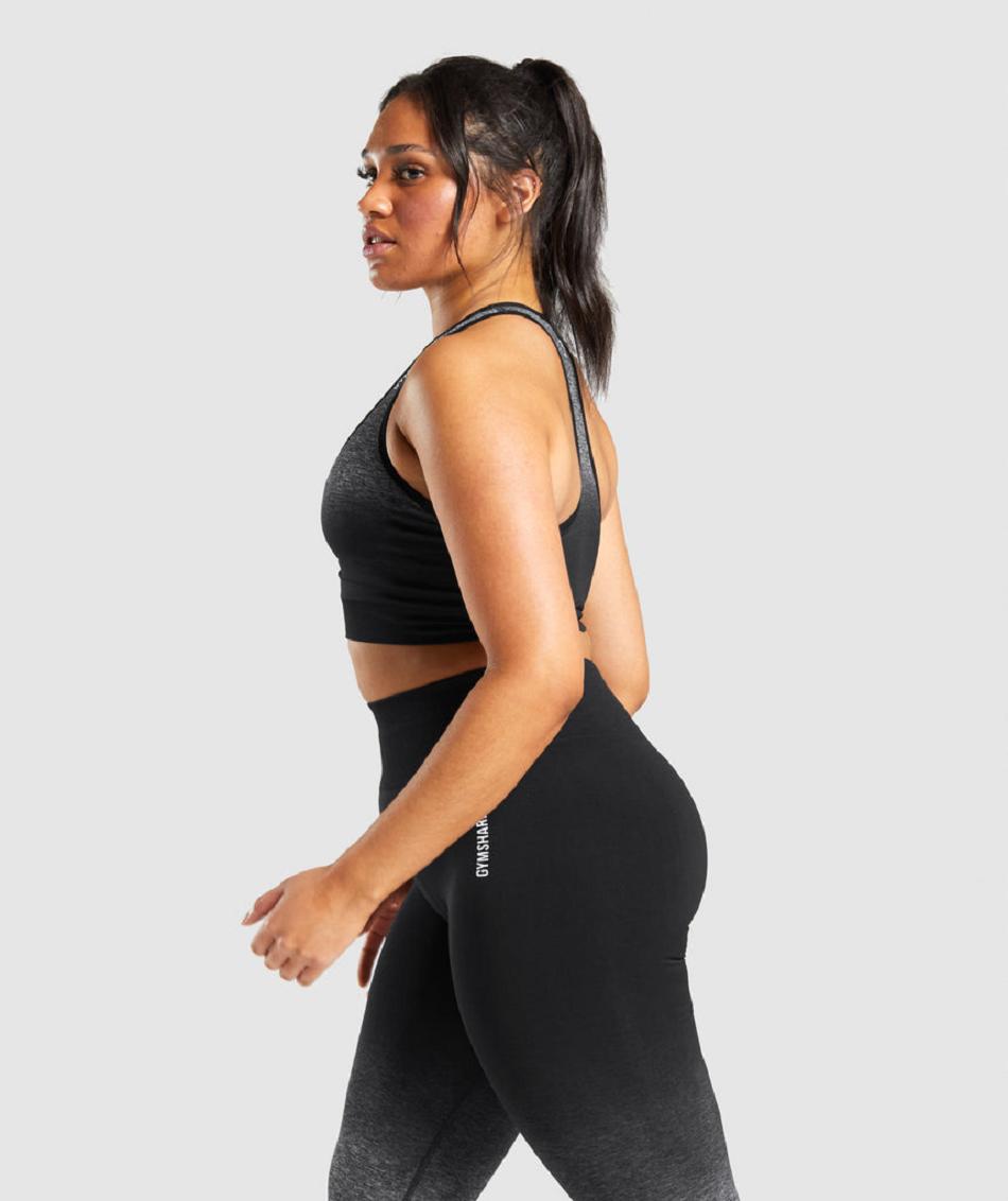 Sujetadores Deportivos Gymshark Adapt Ombre Seamless Mujer Negras Negras | CO 2232WNB